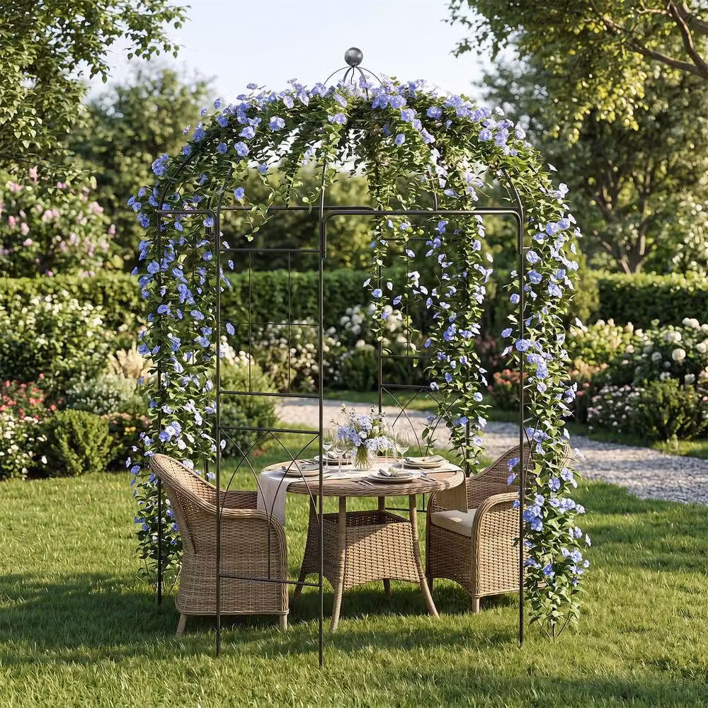 Gymax Metal Birdcage Shape Garden Gazebo and Plant Trellis Pavilion in Black, W/D/H: 203 x 203 x 203 cm – 2