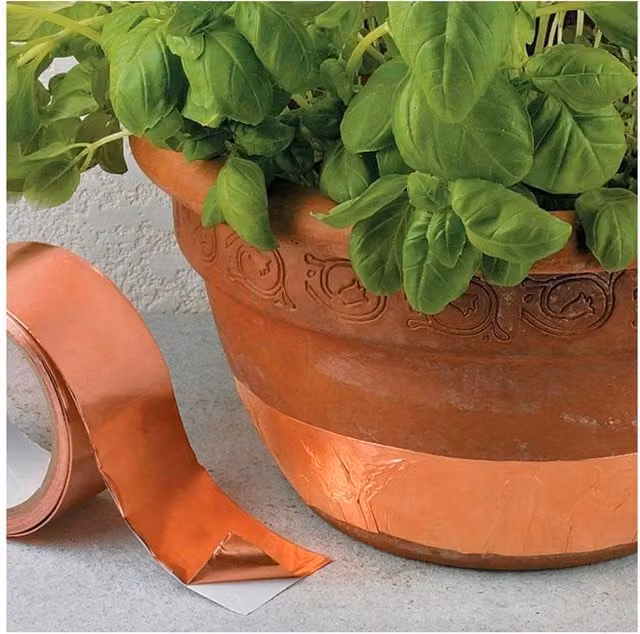 Beat It Copper Slug and Snail Repellent Mechanical Pest Control Barrier, 2m, Orange