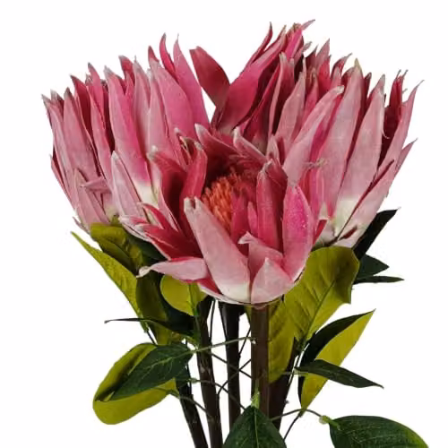Pink Sugarbush Leaf Design Artificial Flowers
