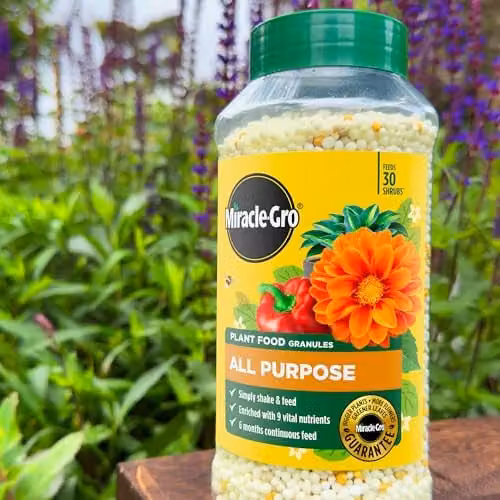 Miracle-Gro Continuous Release All Purpose Plant Food for Indoor and Ornamental Plants, 900 g – 2