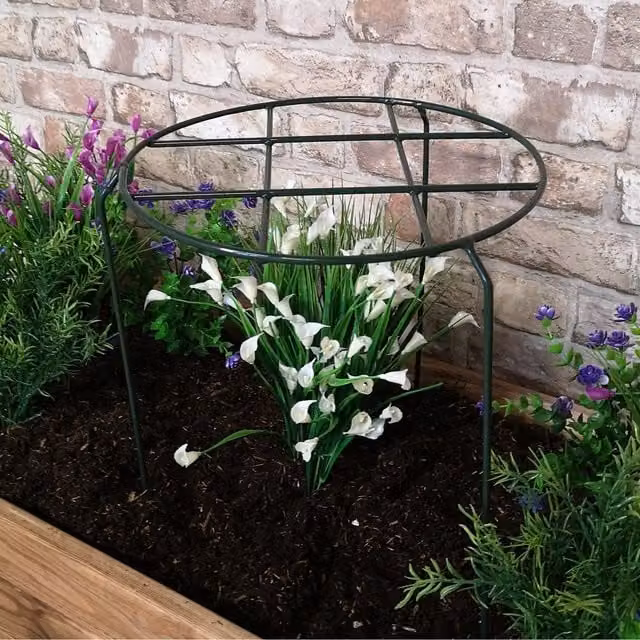 Tom Chambers Urban Metal Herbaceous Garden Plant Support, Dark Green, W: 50 cm, D: 30 cm