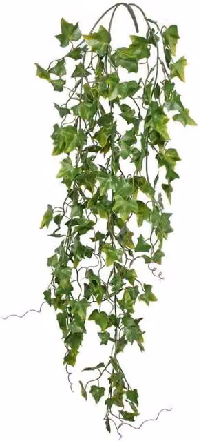 KDMD Everlast UV Exterior Ivy Trailing Hanging Plant in Green, Height: 74 cm