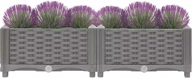 Berkfield Home Raised Bed in Grey Plastic, W/D/H: 80 x 40 x 23 cm – 1