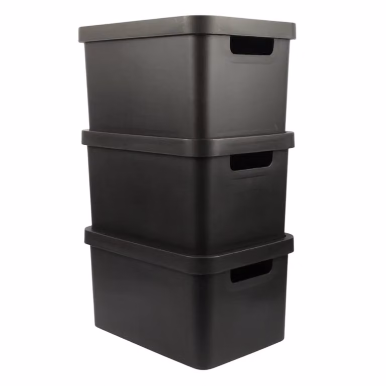 PAWNORA 31L Plastic Storage Box with Lid, Black