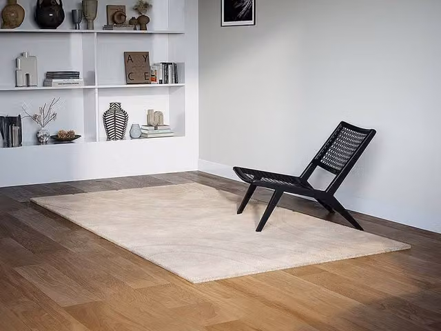 PAOLISI Beige Faux Fur Rug with Abstract Circular Patterns, W: 200 cm, D: 290 cm – 1