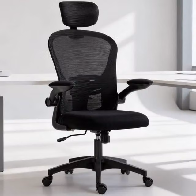 ERGOVEXA Ergonomic Multi-Adjustable Office Chair in Black Fabric with Headrest and Swivel Function – 1