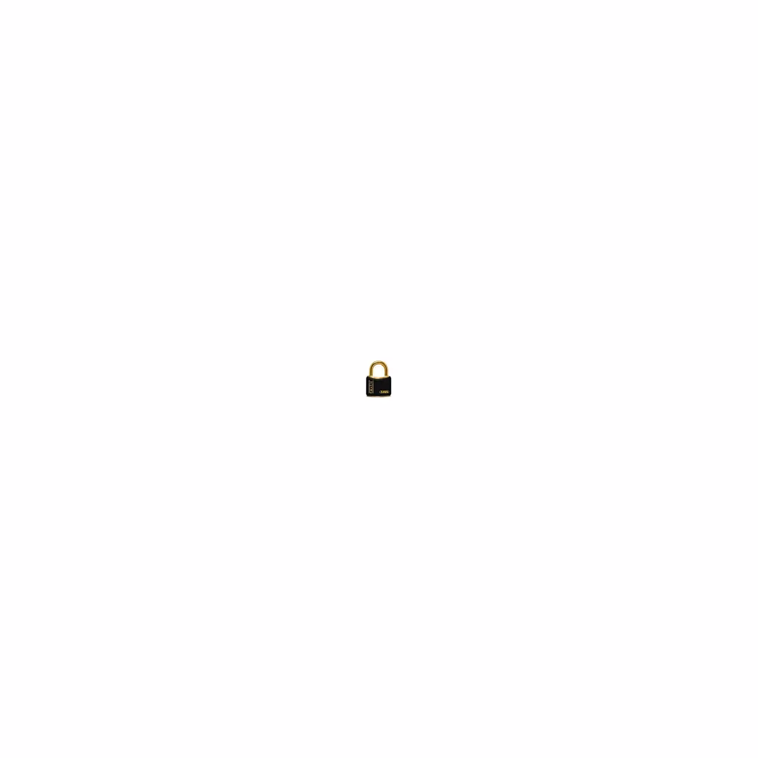ABUS Nautic T84MB/30 Brass Padlock in Gold and Black with Keys – 2
