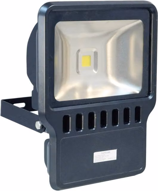 Eagle 100W LED Floodlight in Black with Aluminium and Glass Housing, IP65 Rated – 1