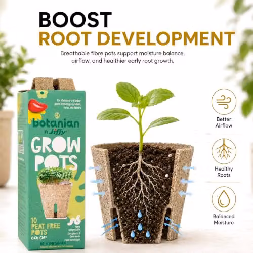 Jiffy Botanian Peat-Free Fibre Growing Pots, 10 Pack, Brown Biodegradable Sphagnum Moss Seedling Pots for Indoor and Outdoor Plants – 3