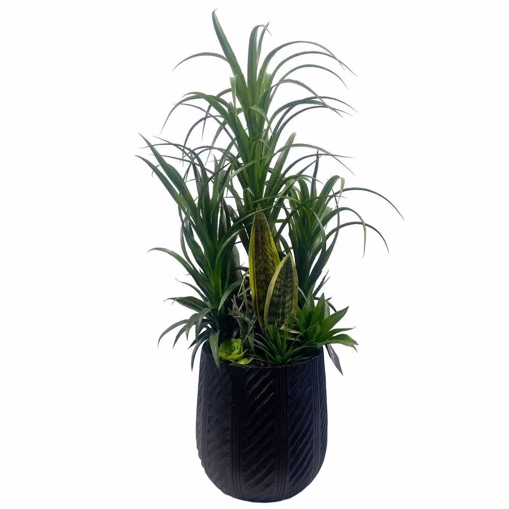 Leaf Premium Artificial Green Yucca Plant in Concrete Pot, Height: 107 cm, Width: 70 cm, Depth: 70 cm – 2