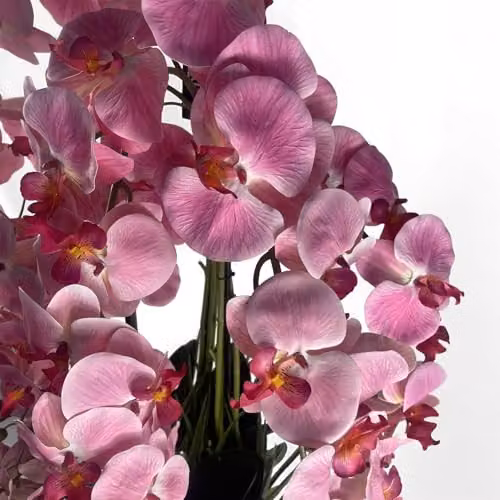 Leaf UK Pink Orchid Potted Artificial Plant Display, Height: 150 cm – 3