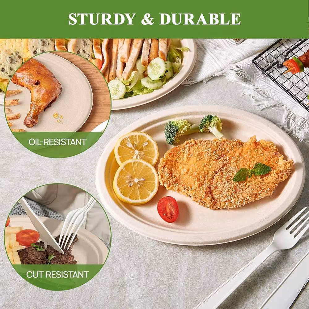 ECONX White Biodegradable Bagasse Oval Disposable Plates, 200 Pieces – 3