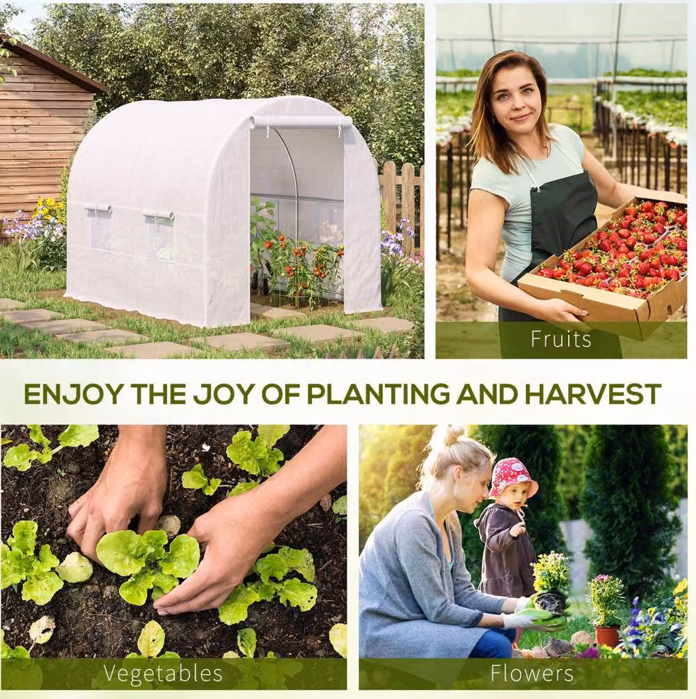 STILVORA Walk-in Greenhouse with 6 Windows and Steel Frame, White, W/D/H: 200 x 200 x 245 cm – 4