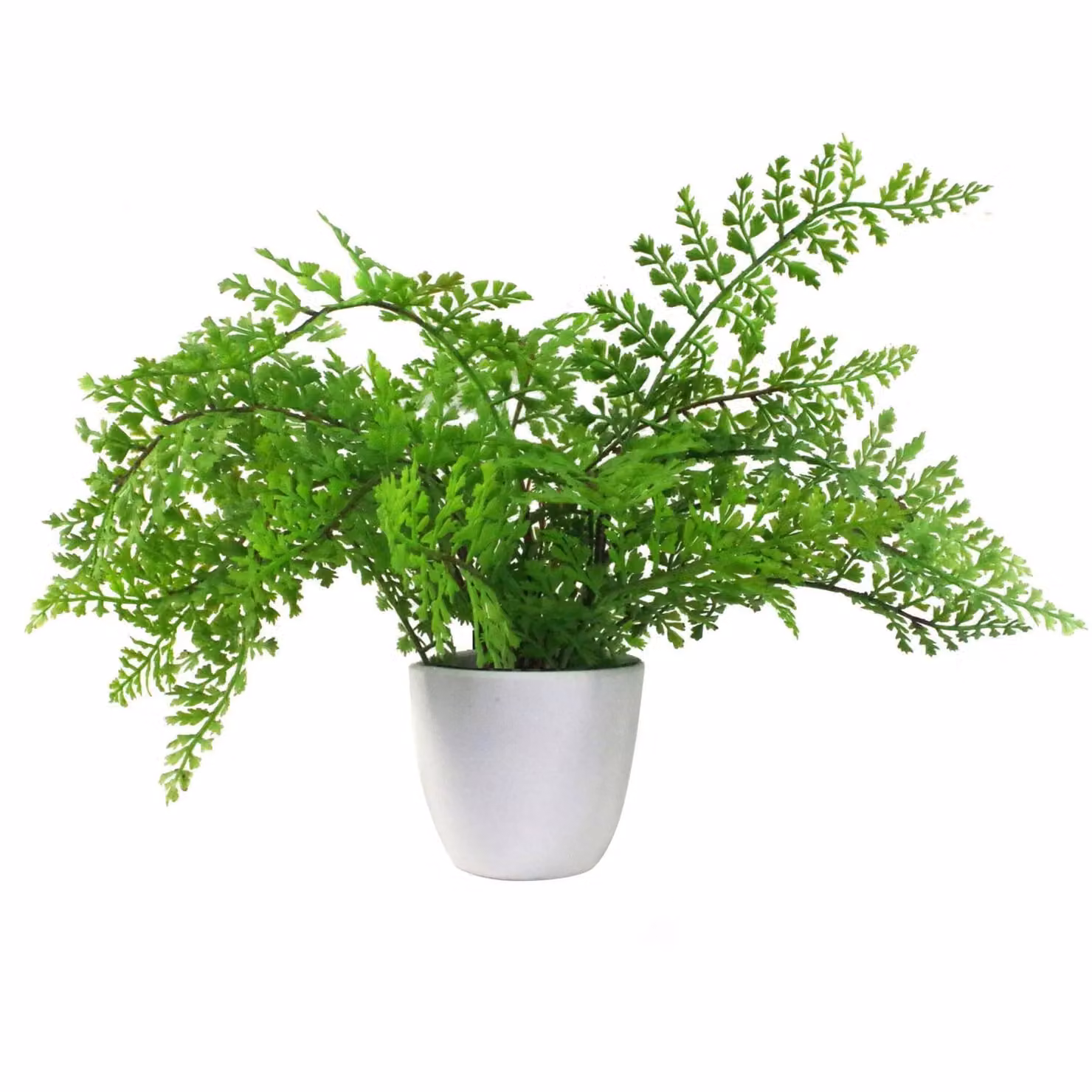 Leaf Design Green Artificial Potted Fern Plant H 40 cm x W 40 cm x D 30 cm – 2