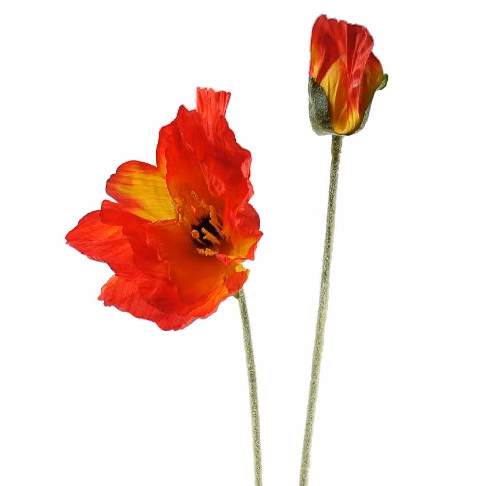 Leaf Pack of 6 Red Artificial Poppy Stems with 2 Flowers, Height: 100 cm – 2
