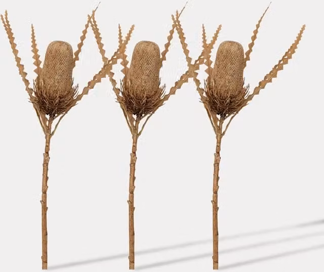 Gallery Direct Set of 3 Artificial Rustic Banksia Single Stems in White and Brown