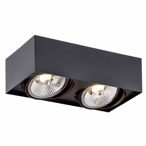 Netlighting Argon Rodos Plus GU10 Twin Surface Mounted Downlight in Black