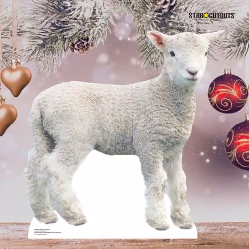 Star Cutouts SC4438 Lamb Cardboard Cut Out, White, Height: 74 cm – 3