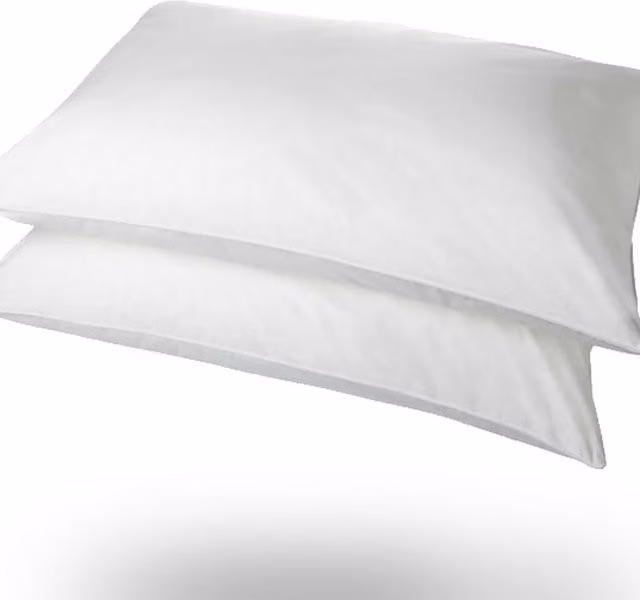 Snug City Superbounce Hollowfibre 2 Pack Pillows with White Polycotton Covers