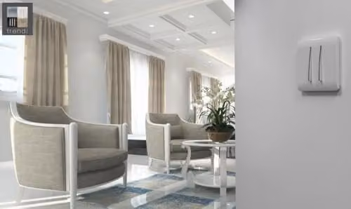 Trendi Modern 2 Gang Plastic Flush Wall Switch in White or Black – 3