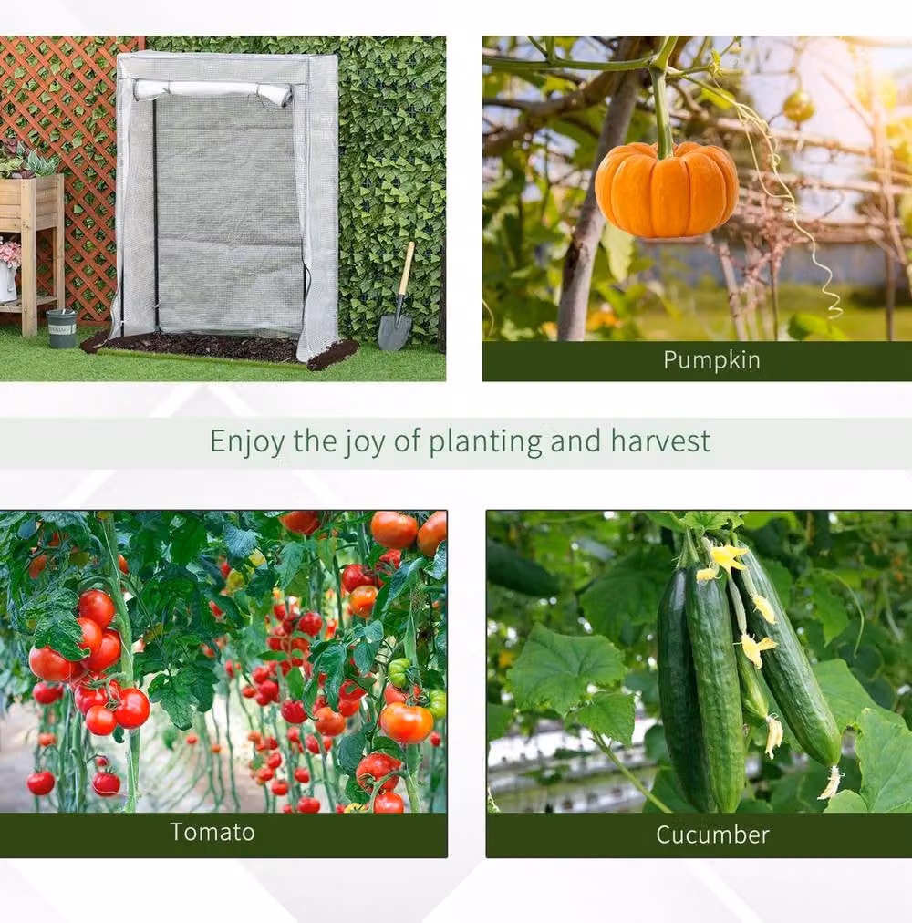 STILVORA Mini Greenhouse with Roll-Up Door in White, W/D/H: 150 x 100 x 50 cm – 3