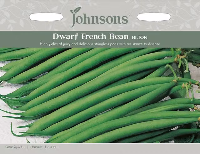 Johnsons Hilton Dwarf French Bean Vegetable Seeds