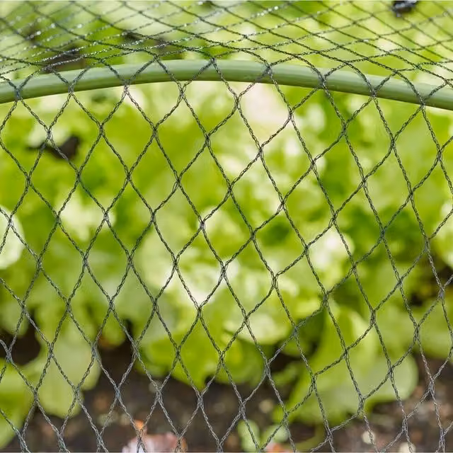Garden Mile Black Pond Netting for Vegetable Gardens