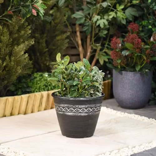 Garden Gear Classic Roman-Greco Design Planter Set of 5, Grey and Black, Diameter: 27.5 cm, Height: 22 cm – 3