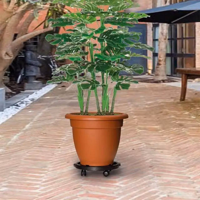 Berkfield Home Black Plant Trolley with Wheels, Diameter: 30 cm