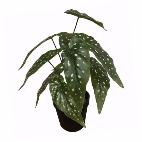 Leaf Green Potted Artificial Desktop Plant