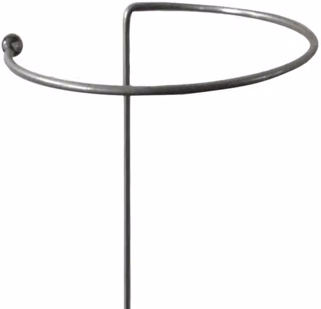 Garden Pride Rusty Gathering Rings Ornamental Steel Plant Support, Height: 77 cm