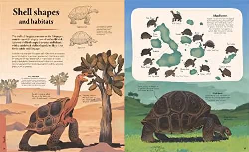 DK Galapagos: A Unique World of Natural Wonders Multicolour Paper Book – 4