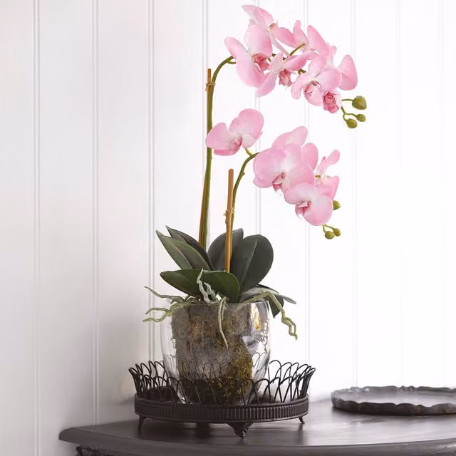 Bloom Pink Artificial Double Phalaenopsis Orchid Plant in a Glass Vase