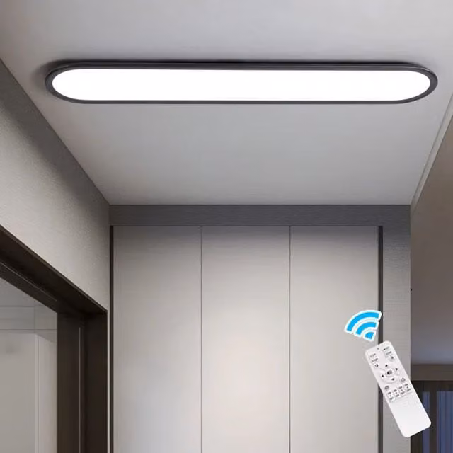 Garwarm 1-Light LED Dimmable Flush Mount Ceiling Light in Black