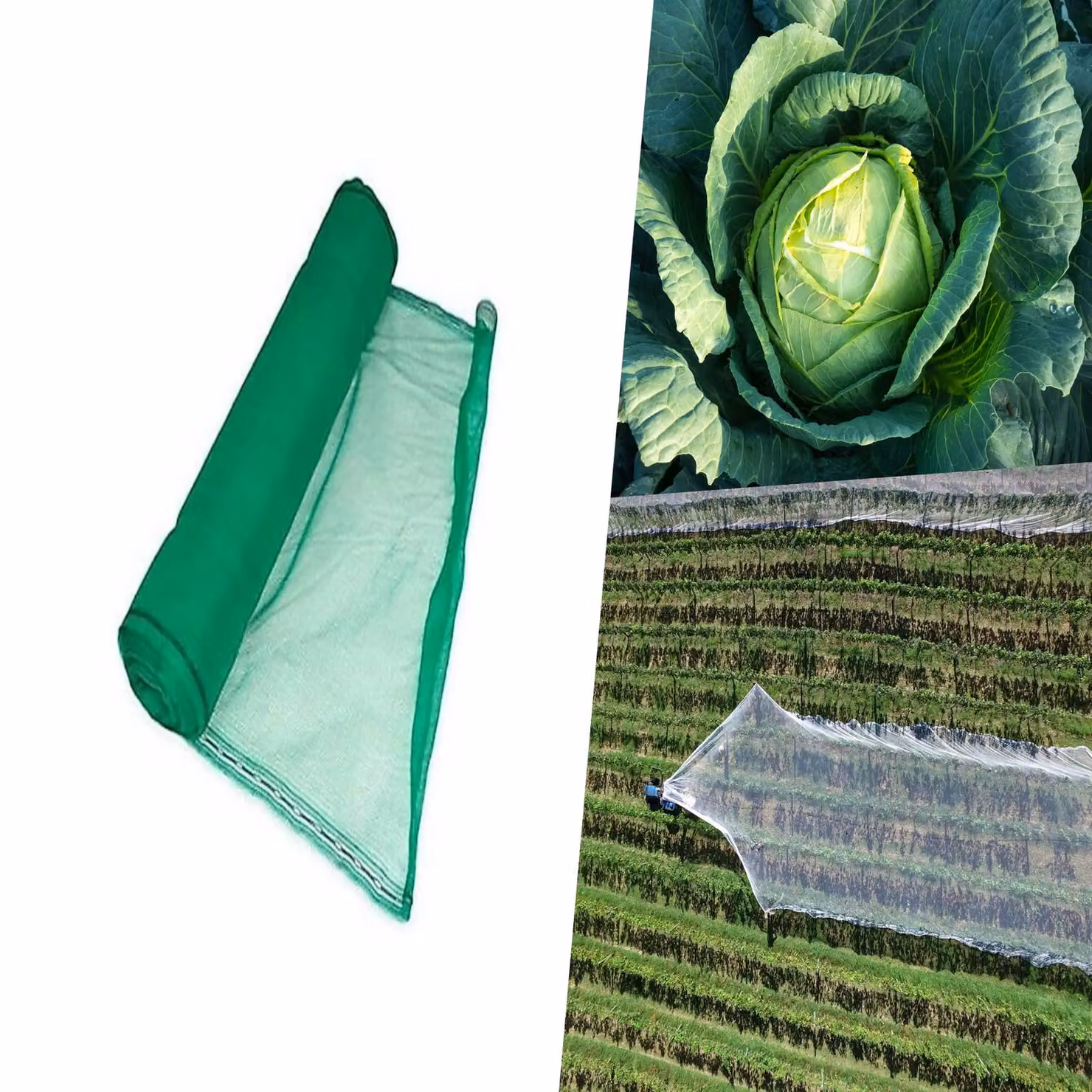 Pegdev Green Heavy Duty Plants and Crops Protection Netting, UV Stabilised Plastic Mesh for Vegetable Gardens, W: 200 cm x L: 3000 cm – 2