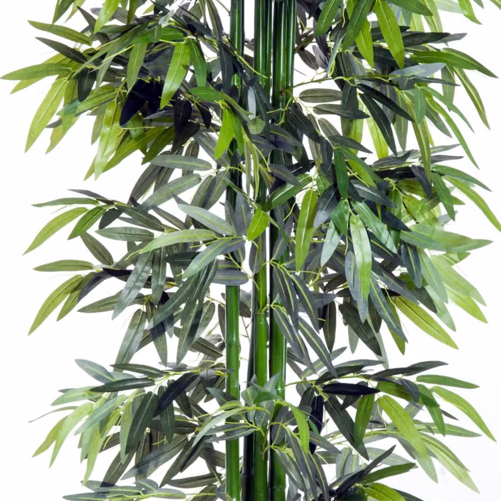 Wyld Haus Marifa Artificial Green Bamboo Tabletop Tree in Pot – 7
