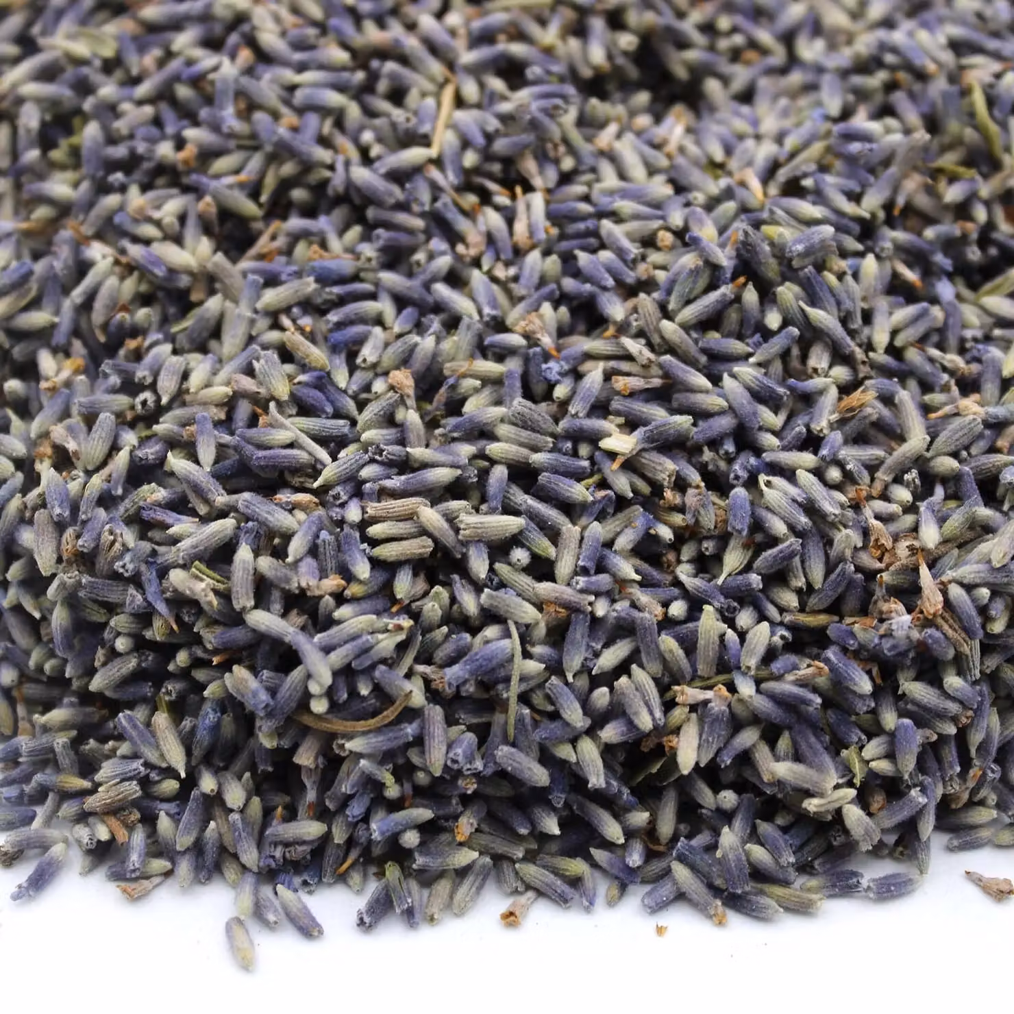 KDMD Organic Purple Lavender Flowers, 1 kg – 4