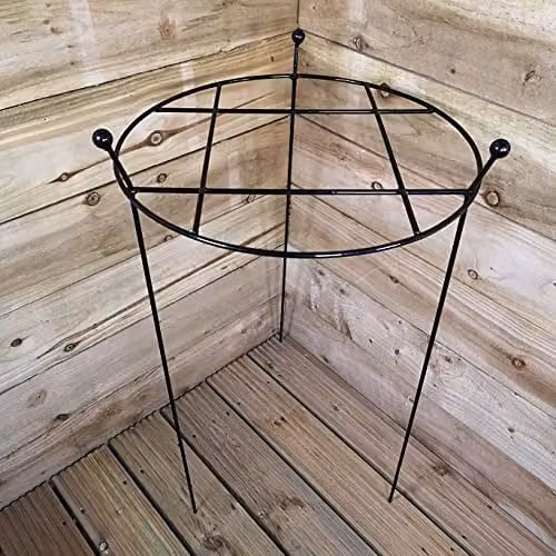 Samuel Alexander Pack of 2 Black Metal Steel Herbaceous Garden Plant Supports, W/H: 45 x 80 cm