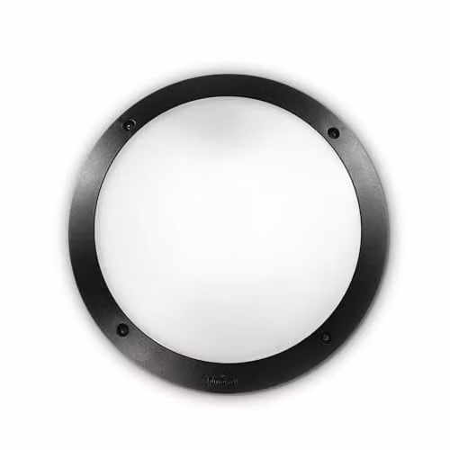 Netlighting Lucia Outdoor Flush Ceiling and Wall Light Black IP66 E27