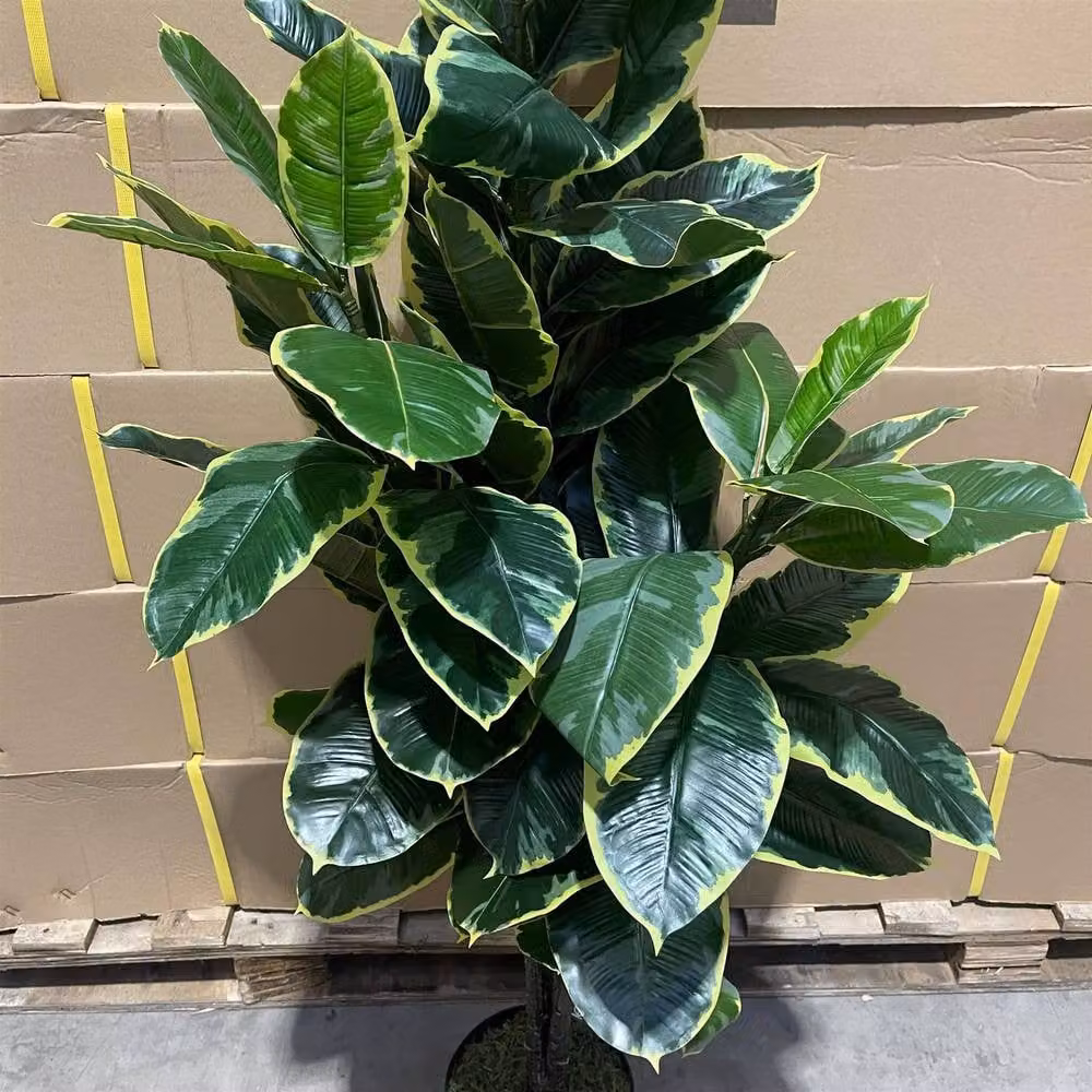 Botanik Leaf 120cm Artificial Rubber Tree in Green – 4