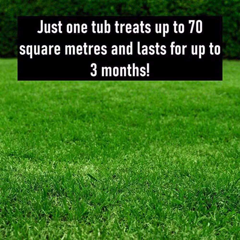 ProKleen Grass Greening Superfood Lawn Fertiliser Granules, 10kg (4 x 2.5kg) – 2