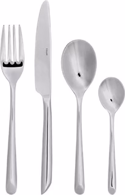 Stellar Raglan 16 Piece Polished Stainless Steel Cutlery Set in Silver