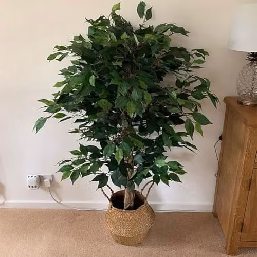 Leaf 90cm Artificial Ficus Tree in Green with Black Plastic Pot – 3