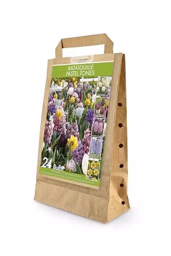 GreenBrokers Ratatouille Pastel Tones Spring Flower Bulbs, 24 Bulbs in Purple, Blue, Gold and Multicolour