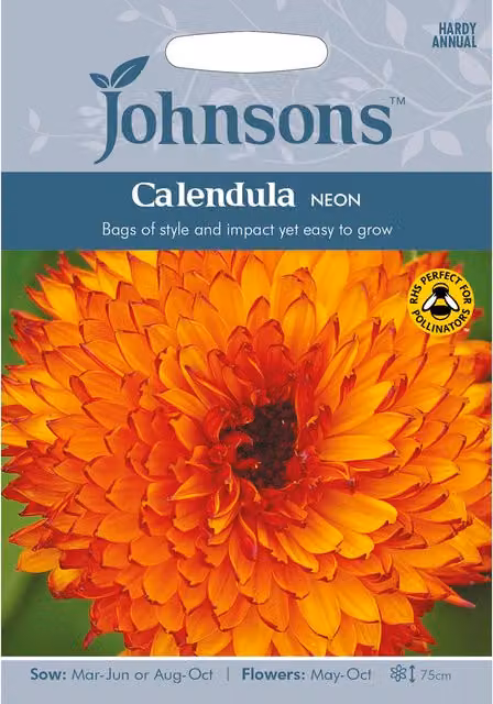 Johnsons Orange Calendula Neon Ornamental Flower Seeds