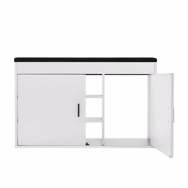FORGEVIO Modern 2-Door Wooden Shoe Storage Cabinet in White