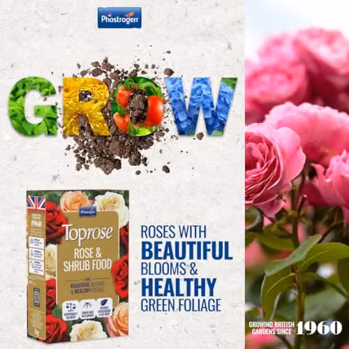 Toprose Rose and Shrub Feed 1kg – 2