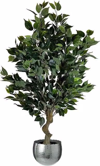 Leaf Large Realistic Artificial Ficus Silver Curve Tree, Green, Height: 62 cm
