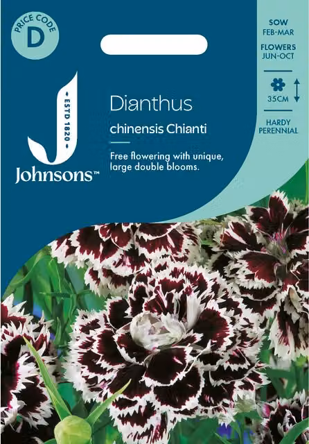 Johnsons Seeds Dianthus Chinensis Chianti Flower Seeds, Multicolour Purple and White