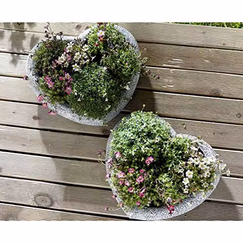Burwells Set of 2 Heart Shaped Ceramic Planters in Grey, H8 x W31 x D28 cm – 3